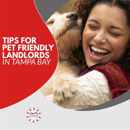 pet friendly landlords in tampa bay