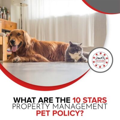 10 stars property management pet policy