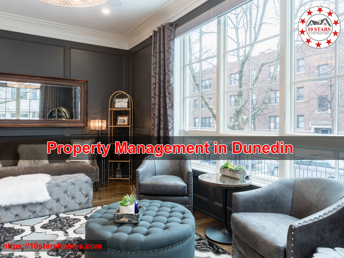 Property Management in Dunedin