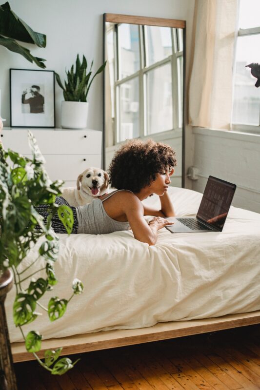 A person using a laptop while lying on a bed with a dog- 10starshomes